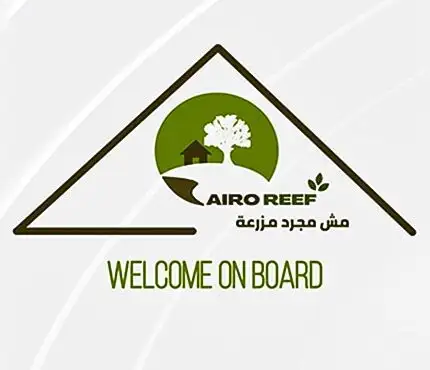 Cairo Reef Social Media